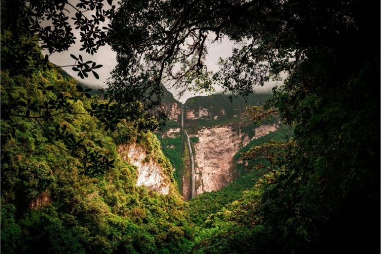 A Huge 2,500-Year-Old Lost City Was Just Discovered In The Amazon Rainforest and Left Scientists in Awe