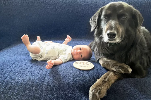 A New Hospital Allows Emotional Support Dogs To Visit New Mothers After Childbirth