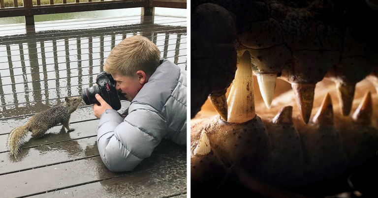 Steve Irwin’s 14-Year-Old Son Is An Award-Winning Photographer And Here Are 50 Photos To Prove It