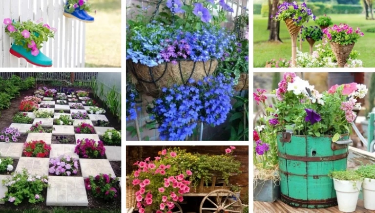 Amazing petunia: a magnificent decoration for any garden