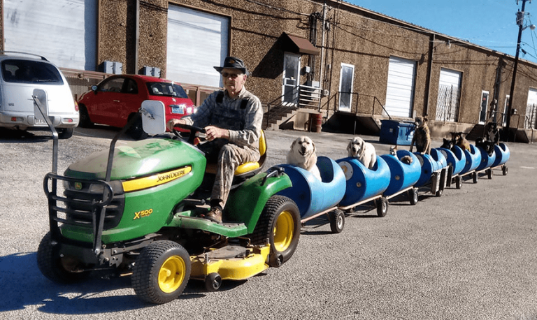 An 80-Year-Old’s Amazing Feat: Building a Dog Train to Give Stray Dogs the Adventure of a Lifetime.