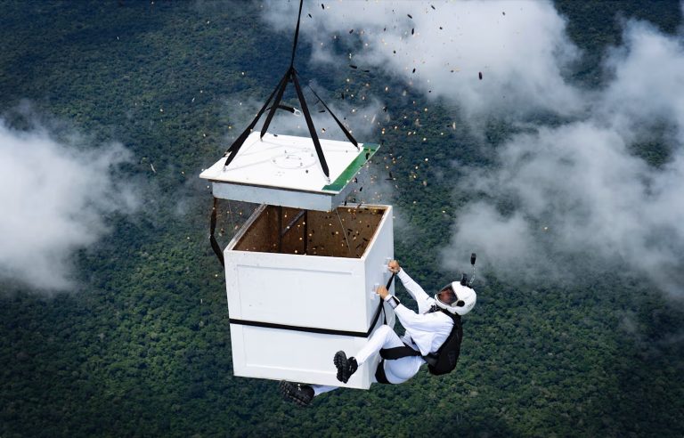 A daring skydiver released 100 million seeds from native plants into the Brazilian Amazon