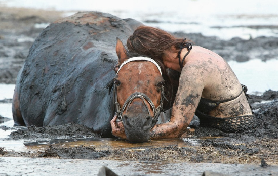 A 900-Pound Animal Becomes Stuck In The Mud, And A Woman Clings To Her Horse For Three Hours