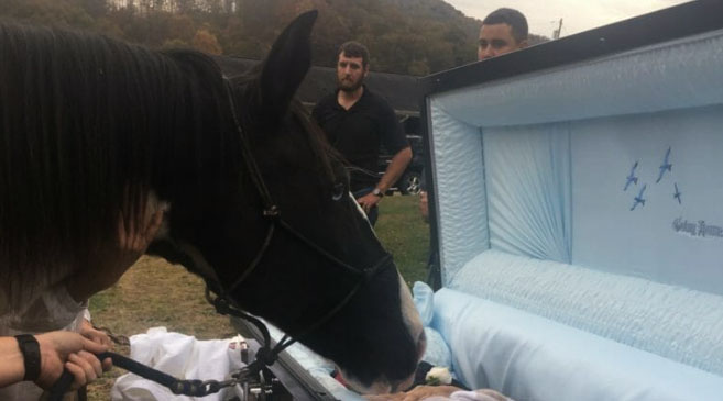 At The Funeral, The Horse Bids His Owner, Who Never Gave Up On Him, A Final Goodbye.