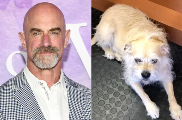 Christopher Meloni Revealed A Cute Dog Name, But His Family Rejected It.