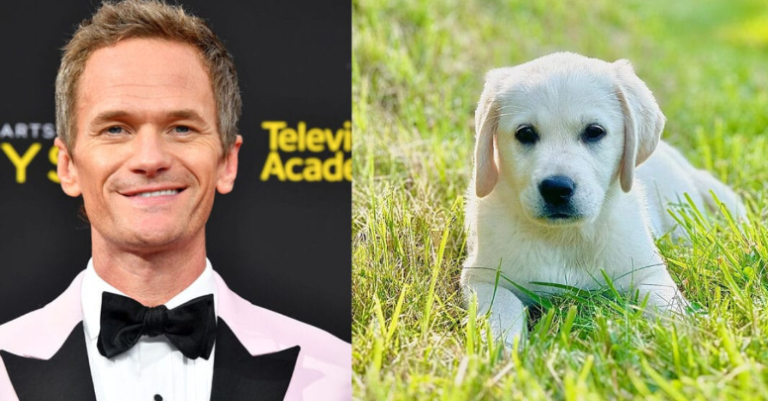 Neil Patrick Harris’s Adorable New Pup Brings Joy After the Tragic Loss of His Golden Retriever