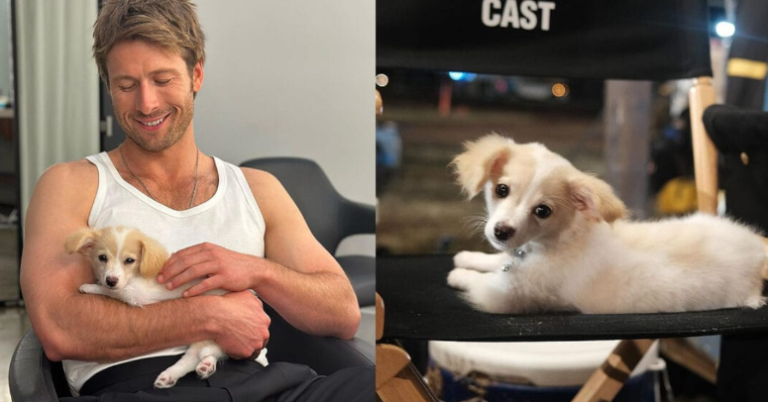 Meet Brisket, Glen Powell’s Rescue Pup Who’s Stealing the Spotlight