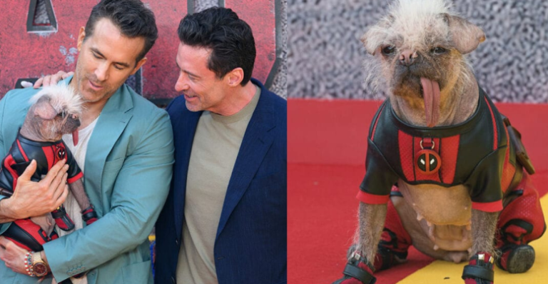 This “Ugly” Dog Just Landed a Role in Deadpool – Her Story Will Warm Melt Heart!