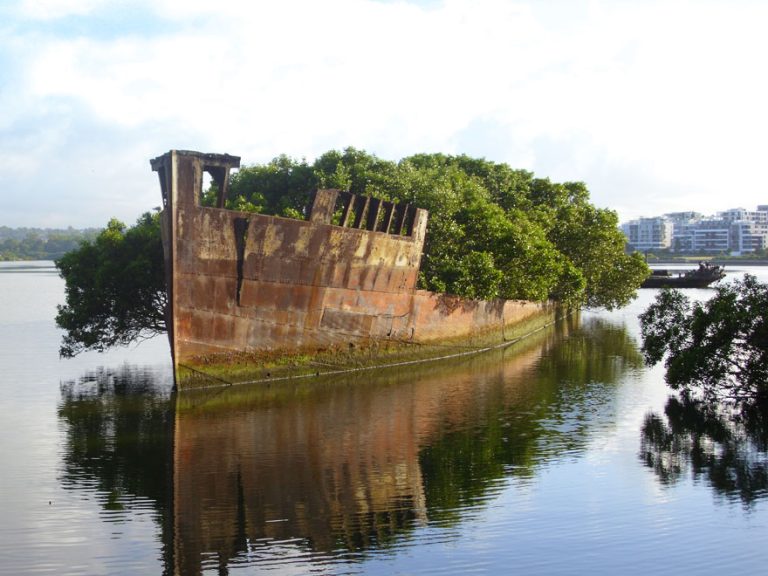 102-Year-Old Ship in Sydney Became A Floating Forest