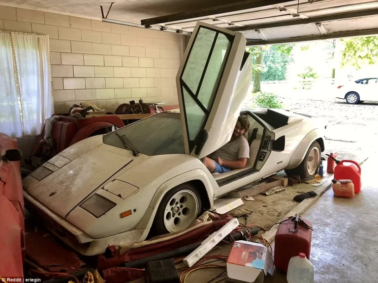 A Girl discovered an abandoned Lamborghini Countach and Ferrari 308 in her Grandma’s garage, worth more than $500K